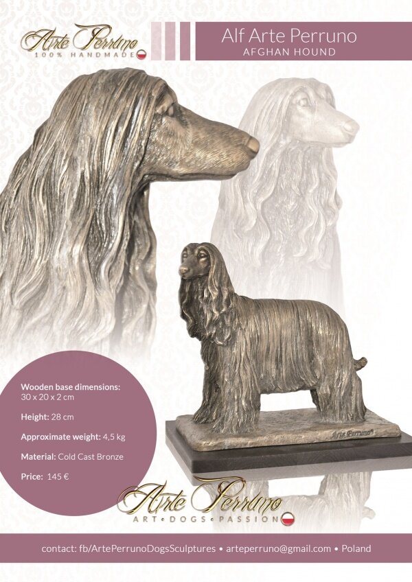 gallery/afghan hound_alf