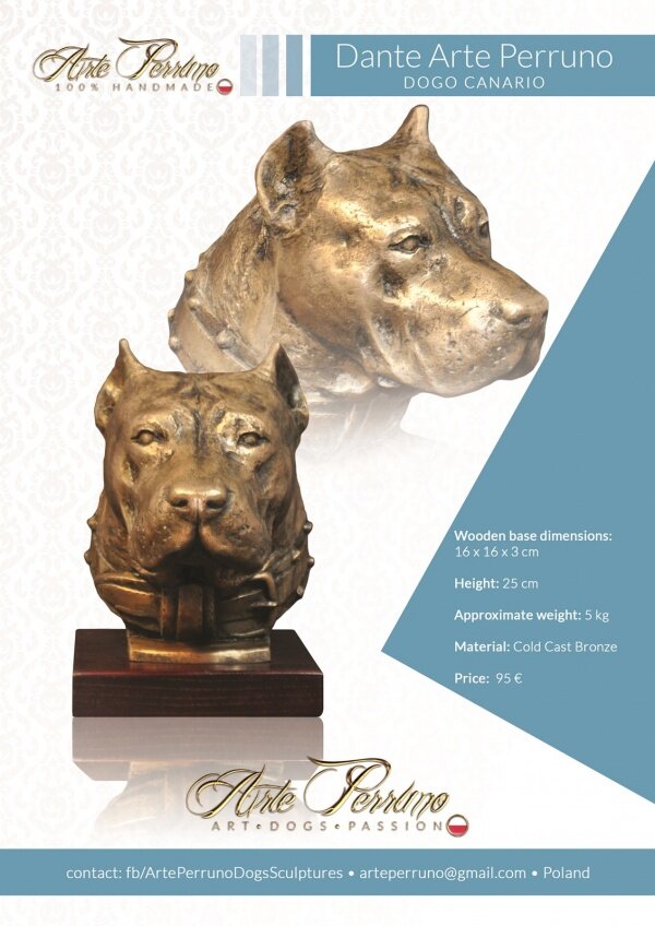 gallery/dogo canario_dante