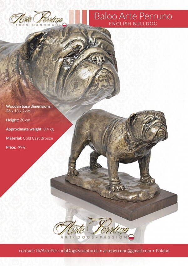 gallery/bulldog english_baloo