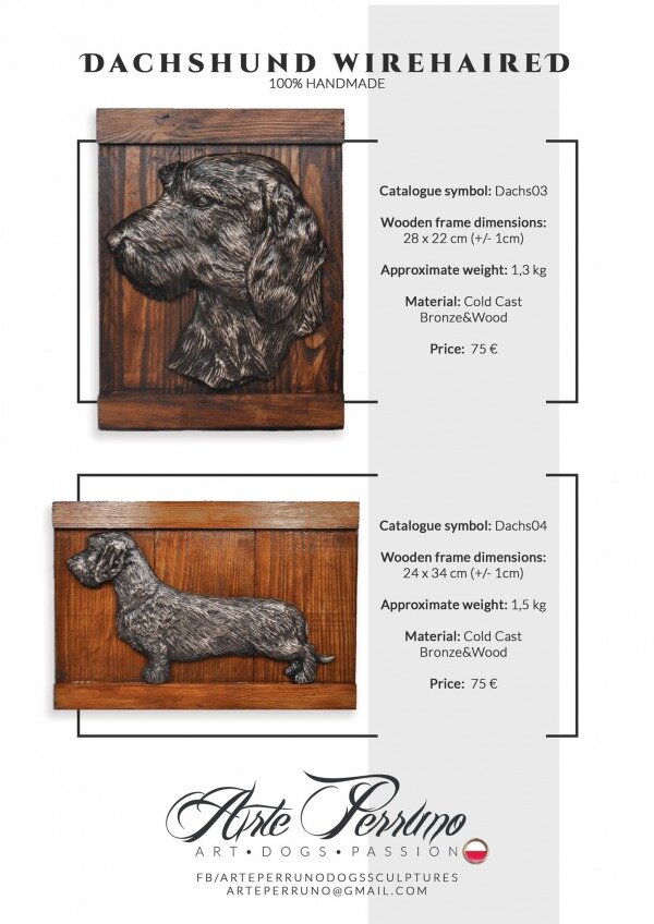 gallery/dachshund 0304