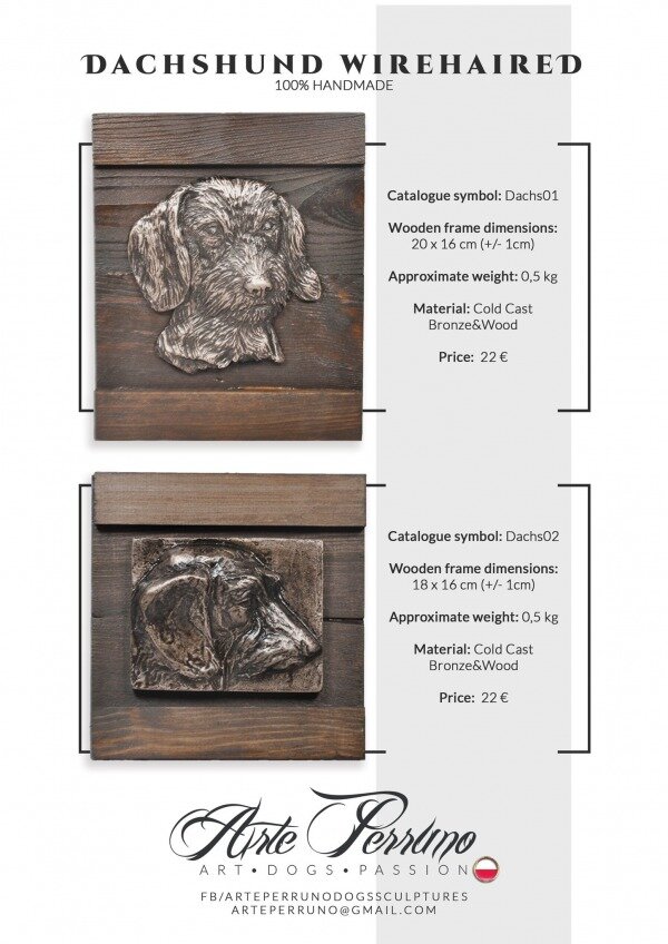 gallery/dachshund 0102