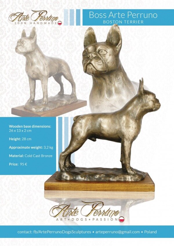 gallery/boston terrier_boss