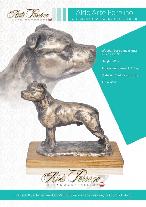 gallery/american staffordshire terrier_aldo