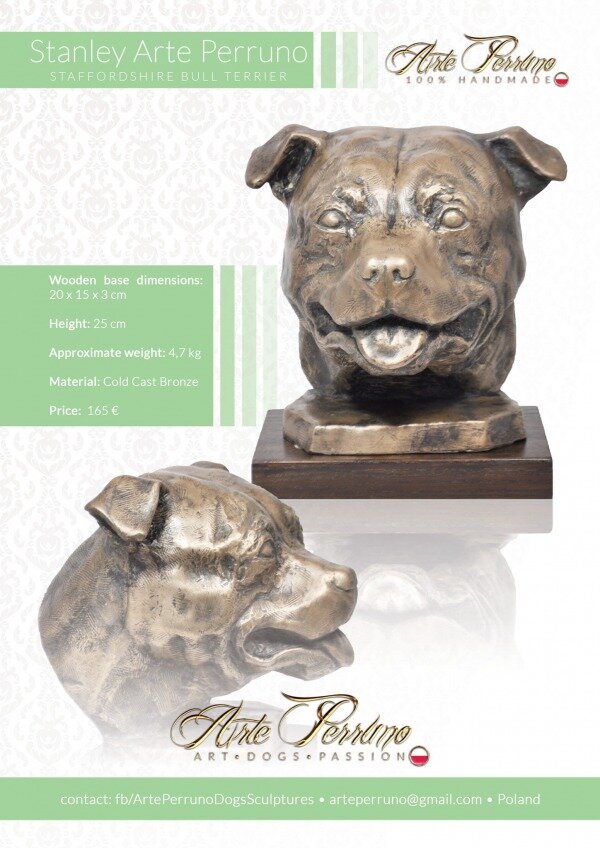 gallery/staffordshire bull terrier_stanley