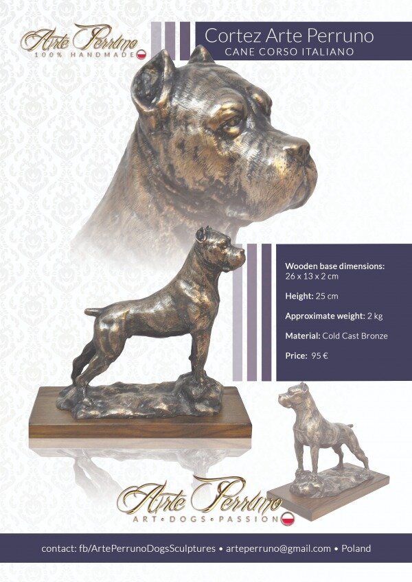 gallery/cane corso_cortez