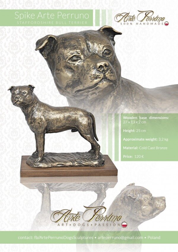 gallery/staffordshire bull terrier_spike