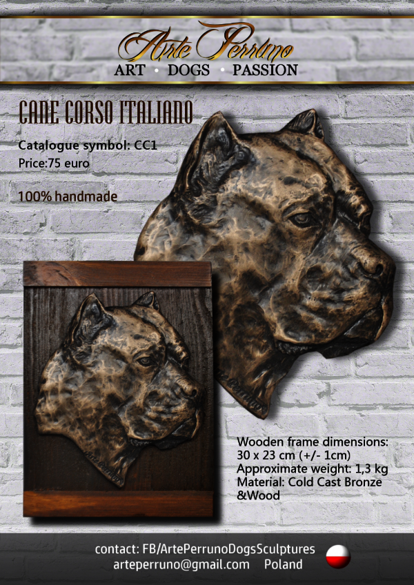 gallery/cane corso (2)
